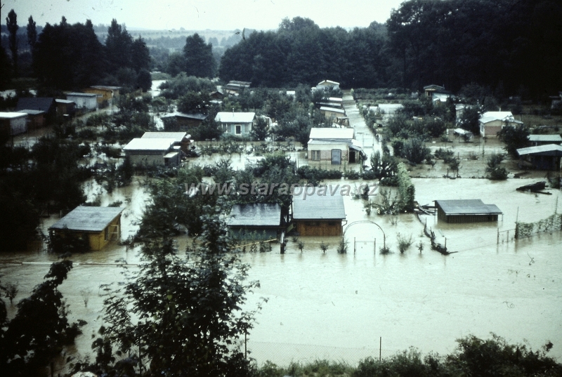 1977 (1).JPG - Povodně 1977 - zahradkářská osada v Městských sadech